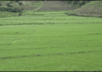 Adaptation Fund projects transform water access in Tsirang and Dagana